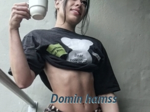 Domin_hamss
