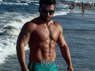 Domluc
