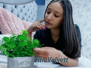 EllieVelvett