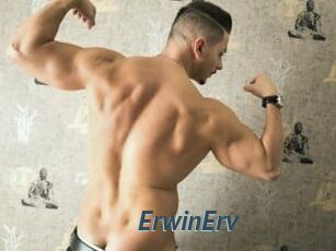 ErwinErv