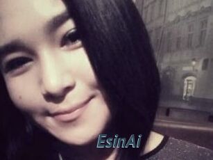 EsinAi