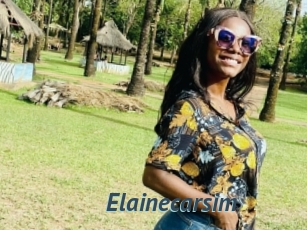 Elainecarsim