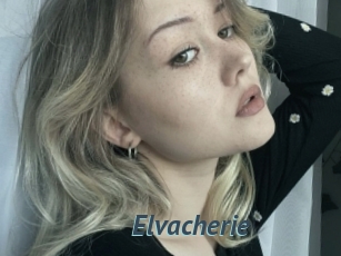Elvacherie