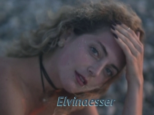 Elvinaesser
