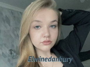 Elwinedanbury
