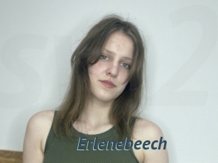 Erlenebeech