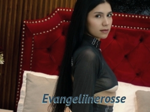 Evangeliinerosse