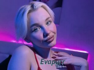 Evapurr