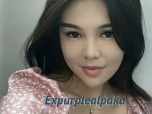 Expurplealpaka