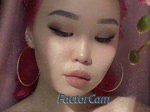 FactorCam