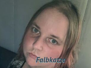 Falbkatze