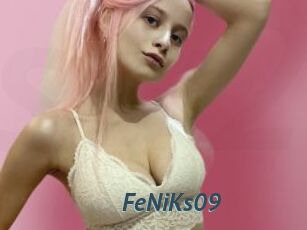 FeNiKs09