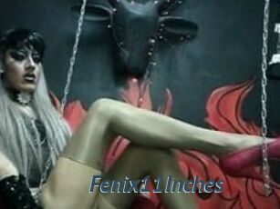 Fenix11Inches