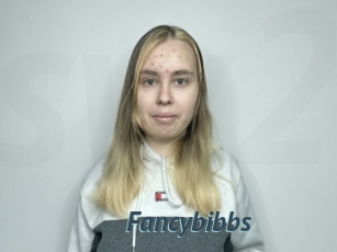 Fancybibbs
