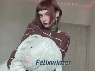 Felixwinter