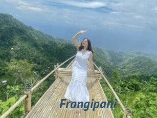 Frangipani