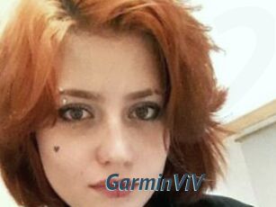 GarminViV