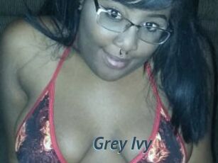 Grey_Ivy