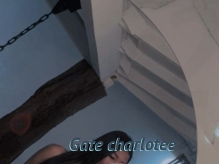 Gate_charlotee