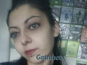 Gattahot