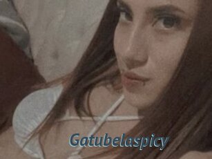 Gatubelaspicy