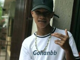 Gohanbb