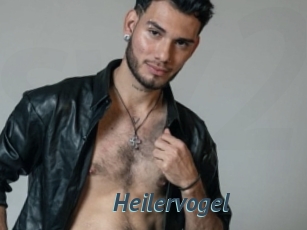 Heilervogel