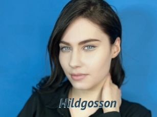 Hildgosson