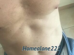 Homealone222