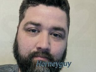 Horneyguy