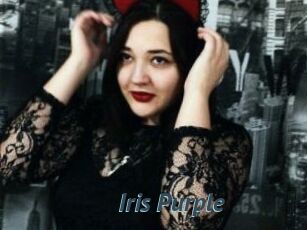 Iris_Purple