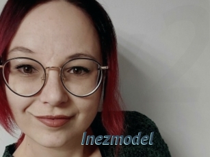 Inezmodel