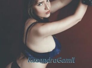 KasandraGamil