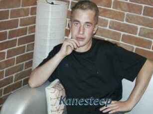 Kanesteep