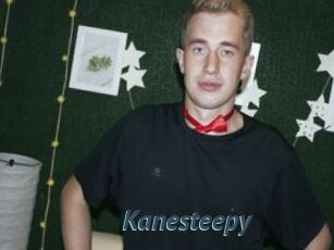 Kanesteepy