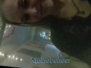 Kleinebeheer