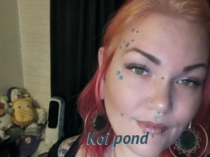 Koi_pond