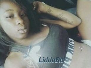 LiddoBit