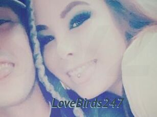LoveBirds247