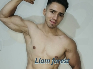 Liam_forest