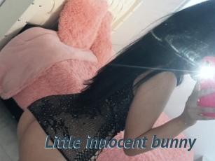 Little_innocent_bunny
