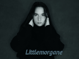 Littlemorgane