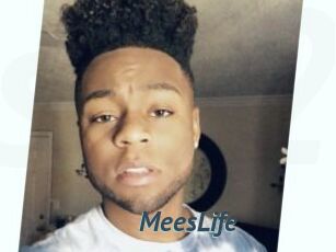 MeesLife