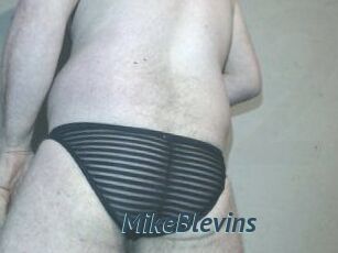 Mike_Blevins