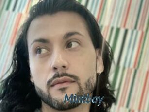 Mintboy