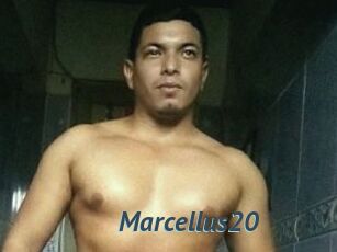 Marcellus20