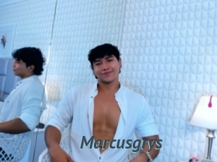 Marcusgrys