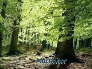 Martiaitor