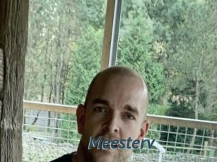 Meesterv