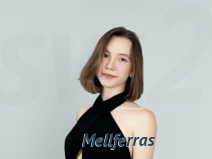 Mellferras